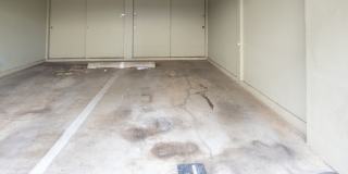 Sunrise 2bd/2ba/2pk Gallery 12