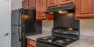 51 at Southaven Gallery 8