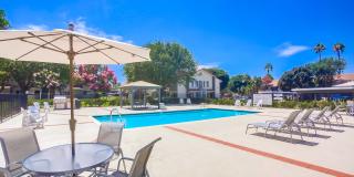 Las Ventanas Gallery 9