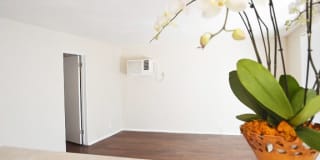 Madison Court Gallery 10