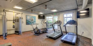 The Gantry Gallery 24