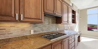 4 Bedrooms PLUS CASITA - Spectacular home in McDowell Mountain Ranch - Pool & Views! Gallery 28