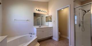 30 WILD FERN Lane Gallery 20