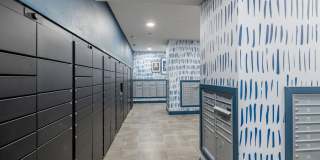 Alleia Watters Creek Gallery 20