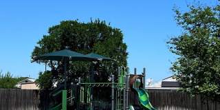 314 Pradera Cv Gallery 14