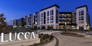 Lucca Fox Valley Gallery 41