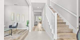 230 Steven Bridges Gallery 5