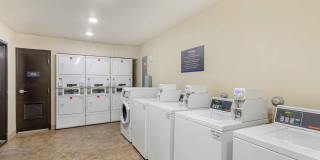 Tuscaloosa Gallery 12