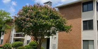 1110 Castle Harbour Way Gallery 1