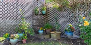308-1-F-HL Gallery 47