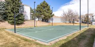 Artemis at Spring Canyon Gallery 19