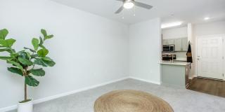 Riverstone Apartments at Long Shoals Gallery 32