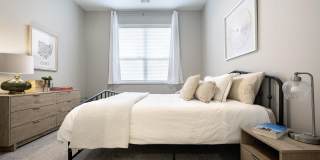 The Ascent at Top of the Hill Gallery 18