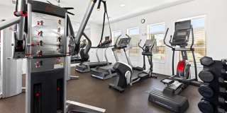 Sonoma Palms Gallery 17