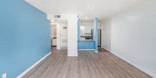 The Chestnut Gallery 5