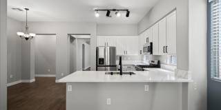 Completely Renovated Modern 4 Bd Single Story in the Trails Gallery 11