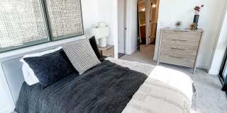 The Olive The Olive Gallery 23