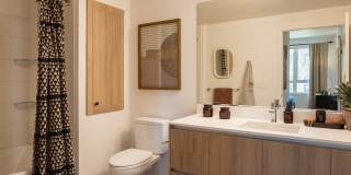 Orlo & Alba Gallery 38