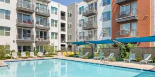 The Tessera Gallery 19