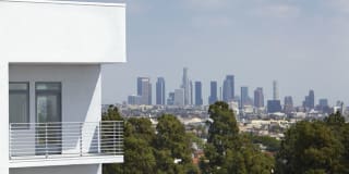 The Avenue Hollywood Gallery 18