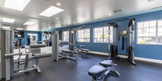 Avana Evergreen Gallery 51