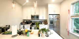77 Torrey Street Gallery 2