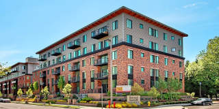 Redmond Square Gallery 15