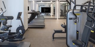 Muze At Met Gallery 37