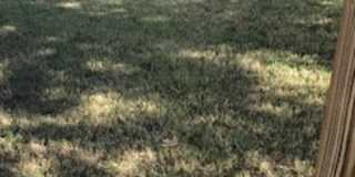 2025 Germander Way 2025 Germander Way Gallery 29