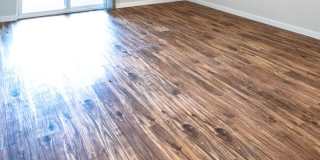 Canyon View Gallery 6