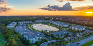 Town Treeline Gallery 29