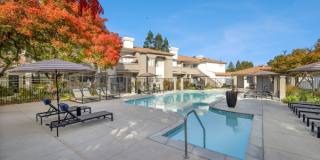 Terra at Portola Park Gallery 20