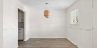 Palmetto Square Gallery 44