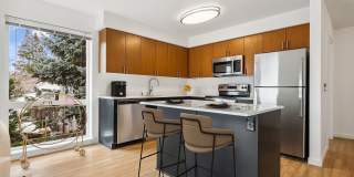 Arrive Belay & Noba Gallery 1