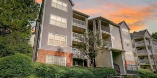Ellington Woods Apartments Gallery 26
