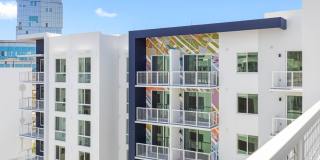 Tortoise One Gallery 60