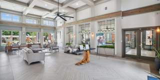 Belrose Apartment Homes Gallery 26