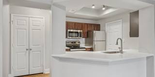 Carrara at Cole Gallery 4