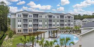 Waterleaf at Salt Creek Gallery 29