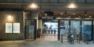 The Veridian Gallery 93