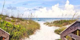 333 THE ESPLANADE N Gallery 36