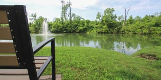Lake of the Woods Gallery 48