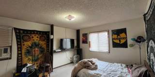 Great House In Fort Collins Gallery 1