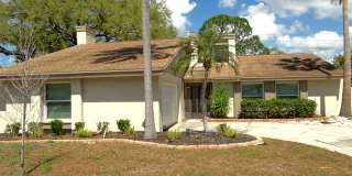 Pool home in Palm Harbor Gallery 1