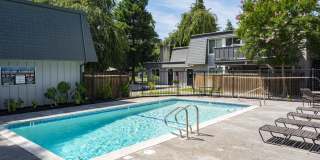 The Boardwalk Gallery 11