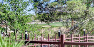 536 Pima Canyon Court Gallery 41