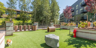 Aspect at Totem Lake Gallery 24