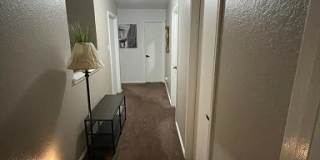 54 Basin Elm Gallery 15