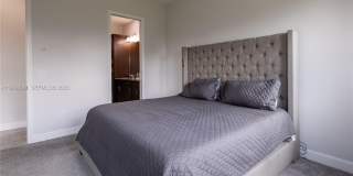 13939 Prickly Cone Cv Gallery 15