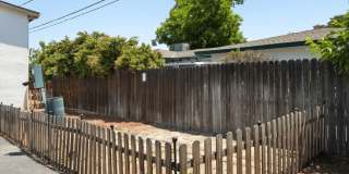 University Palms Gallery 12